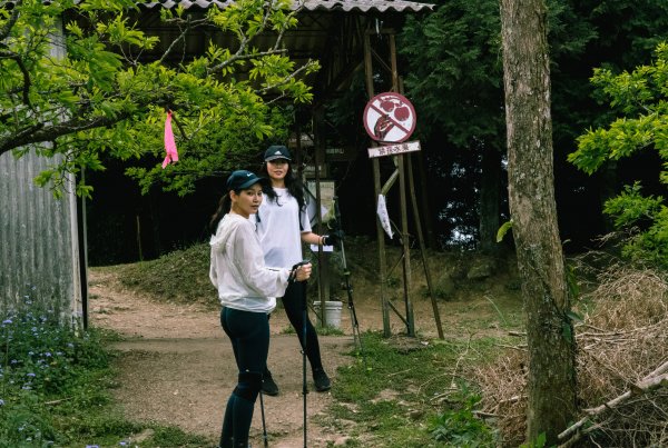 【馬那邦山】苗栗熱門簡單爬山景點，穿梭古戰場，遠眺聖稜線，珠湖上登2063000