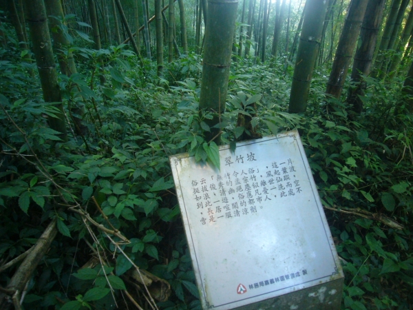 奮起湖大凍山步道封面