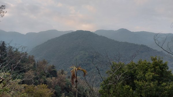 舊武界越山橫屏山O形縱走7連峰1298322