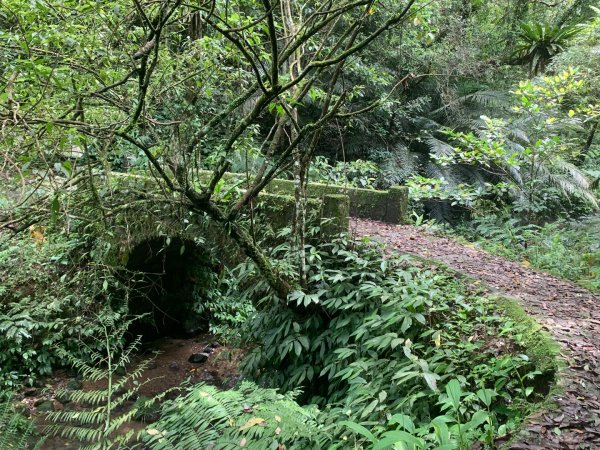 大崎棟古道、騎龍古道2772305