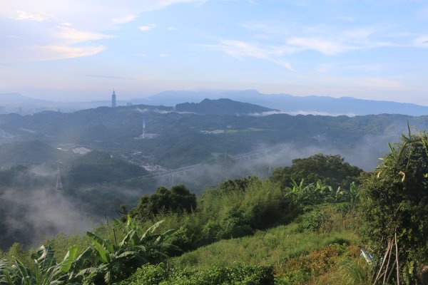 雨後猴山坑山嵐飄渺2579434