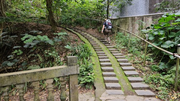 圓通寺烘爐地登山步道大O走3007100