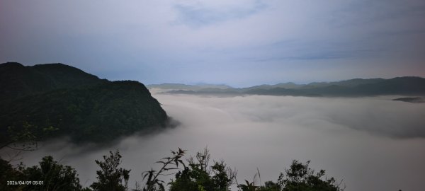 #翡翠水庫壩頂 #日出 #雲海 4/93031841