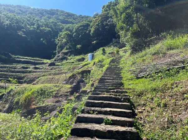 [走遍陽明山]2023_0910_大崎頭步道2279436