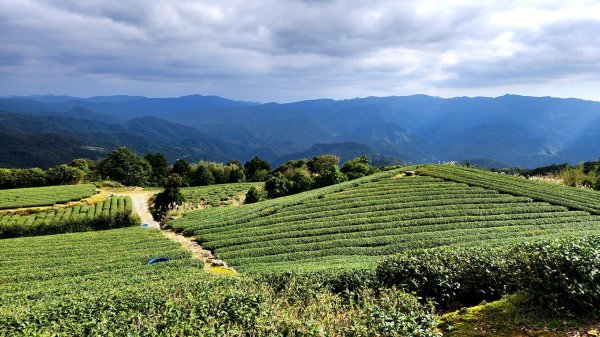 石碇皇帝殿（西峰，東峰），天王峰，坪林獅公髻尾山，文山指南宮千階步道（竹柏參道），十六分山，貓空尖1971329