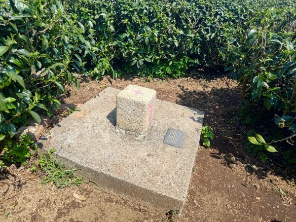 藤山步道登樟普寮一等三角點+挑水古道2749480