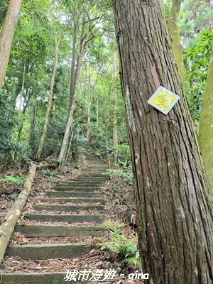 【台中和平】橫嶺山自然步道_木馬古道3095016