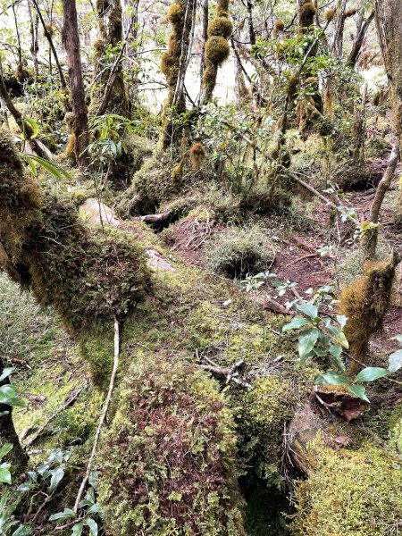 魔幻森林三星山與三星池1658316