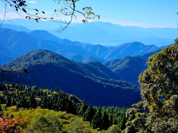 稍來山賞楓2962558