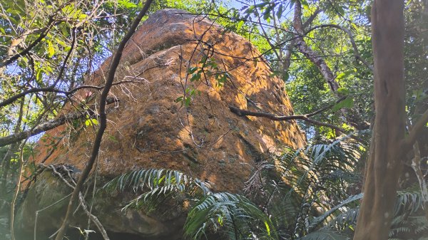 年前練練腳台北西湖近郊13連峰O型2999241