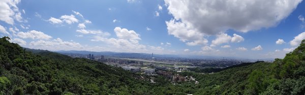 老地方觀機平台封面
