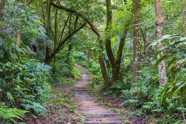 [新北]土庫岳更寮古道2575842