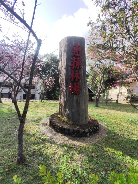 惠蓀湯公啤&小嵐2697852