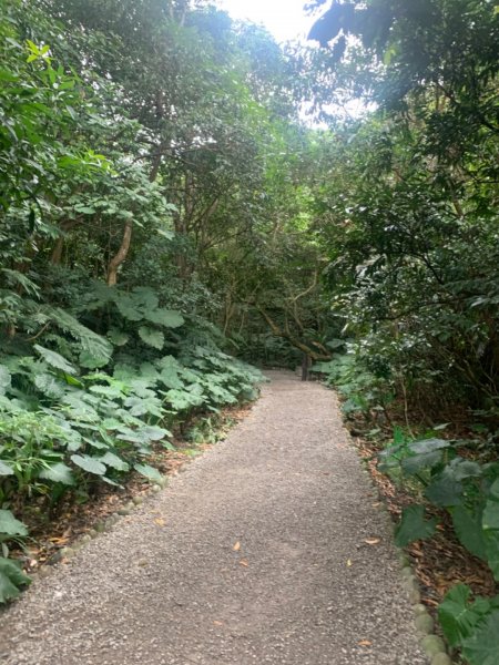 20200129麟光站到中華科大817862