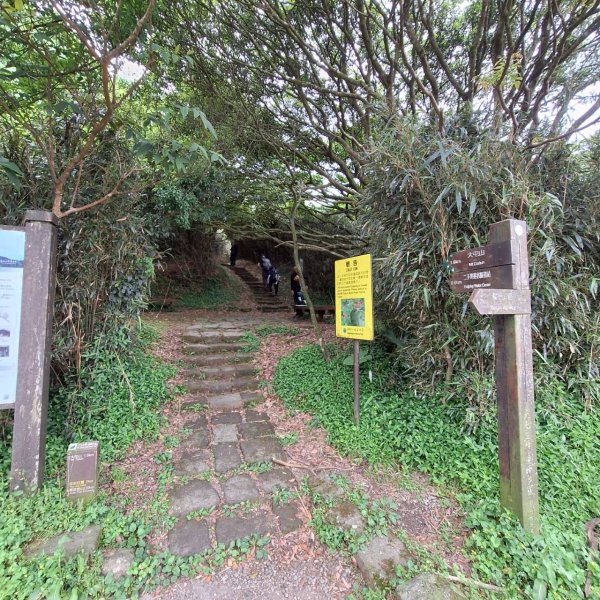 2025臺北大縱走-小油坑到二子坪-第二段完成!2781343