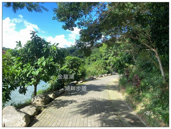 金龍湖、鷹石尖、老鷲尖、內溝山 O型一圈2966586