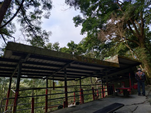 朝聖抹茶山2949487