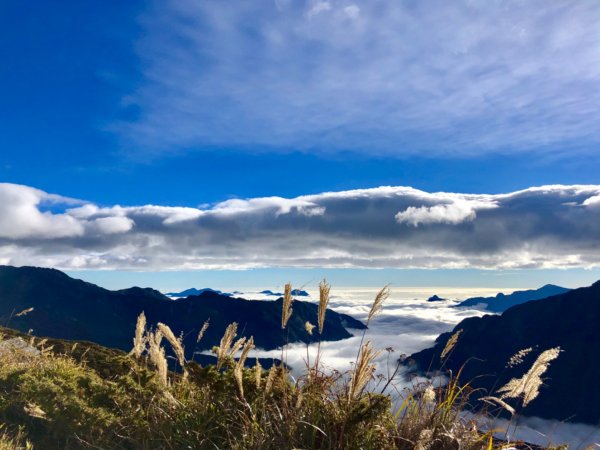 2018-11-25⛰百岳合歡山北峰～468423