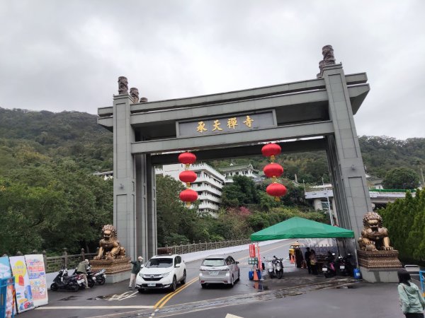 微笑山線：【天上山系】望月亭桐花段3001581