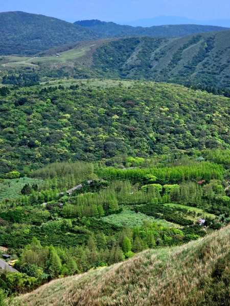 2026年臺北大縱走第三段：小油坑至風櫃口(七星山段)3029546