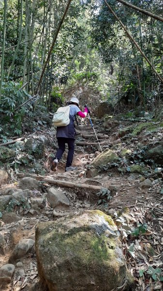 《苗栗》馬那邦山｜ 上湖線＞天然湖O巡202102201277318