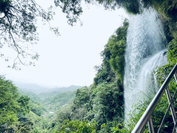 20250413 銀河洞越嶺步道-六分山-待老坑山-員潭子坑山2761192