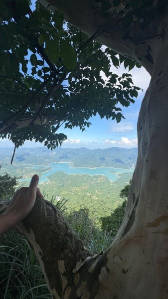 三腳南山2799603
