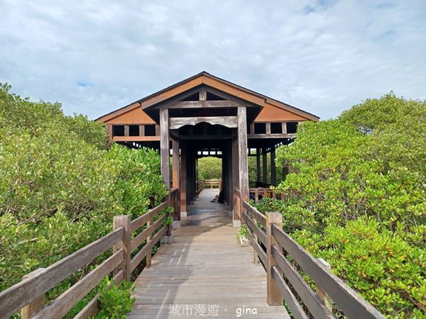 【新竹新豐】台灣唯一建有觀賞步道的生態保護區。 新豐紅樹林生態保護區2381820