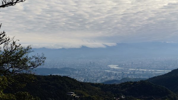 20260125 陽明山前後山健行(無極天元宮~山仔頂步道.向天池.向天山.面天山.二子坪)2998070
