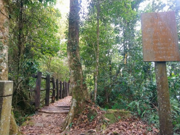 石壁山 好望角 嘉南雲峰 O型 南側進813375