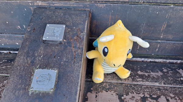 台北大縱走第一段1249071