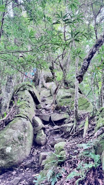 光天高山 - 向天湖山(小百岳32) 小O一圈2876933