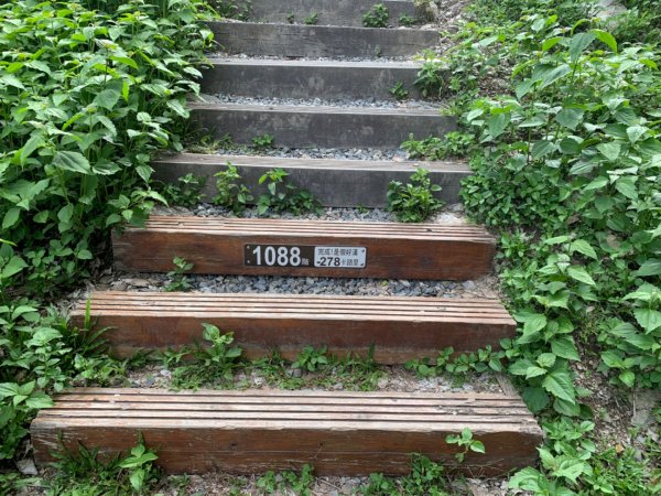 台東知本森林遊樂區之1088階好漢坡1063286