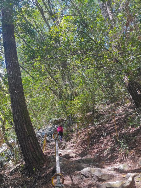 波津加山/谷關七雄老四1638618