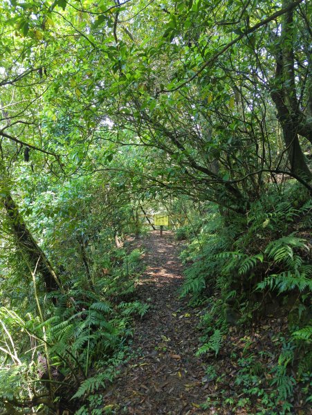 2025.04.27－金包里大路~小油坑縱走2770893