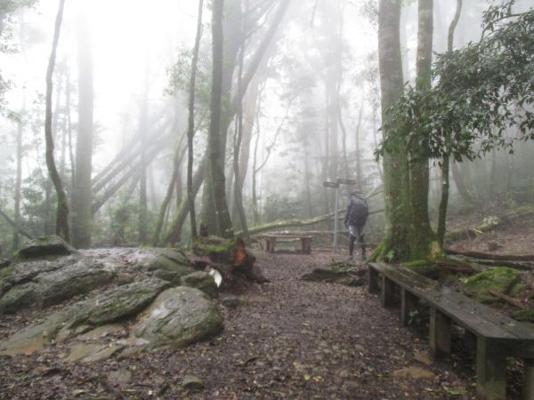 加里山之美193539