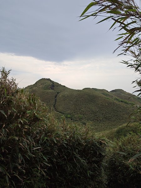 臺北大縱走第三段 小油坑至風櫃口2774185