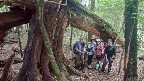 觀雪縱走~大園登山協會2828660