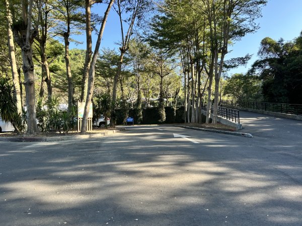 坑內坑森林步道2957400