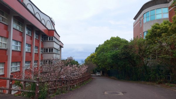 小百岳NO.5觀音山 牛港稜步道  硬漢嶺   楓櫃斗湖登山步道2090107