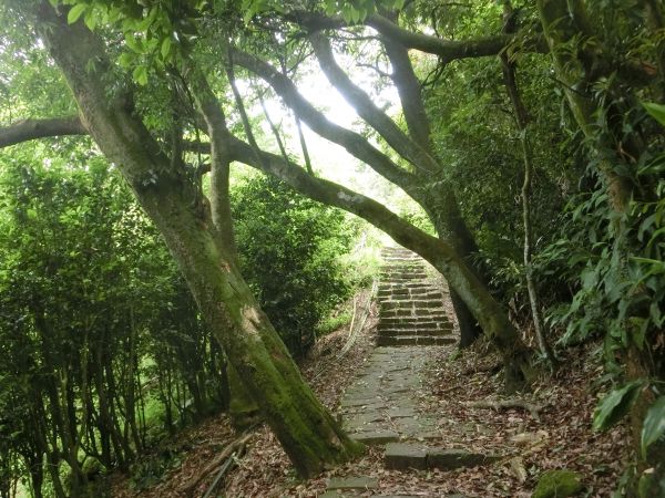 環七星山人車分道１326644