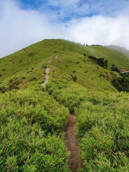 新手登百岳創高峰-合歡南連走主峰1138415