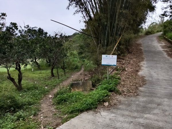 寶山鄉寶山水庫(寶山東峰+中峰+中西峰+西峰+西北峰)+尖山O型3012520
