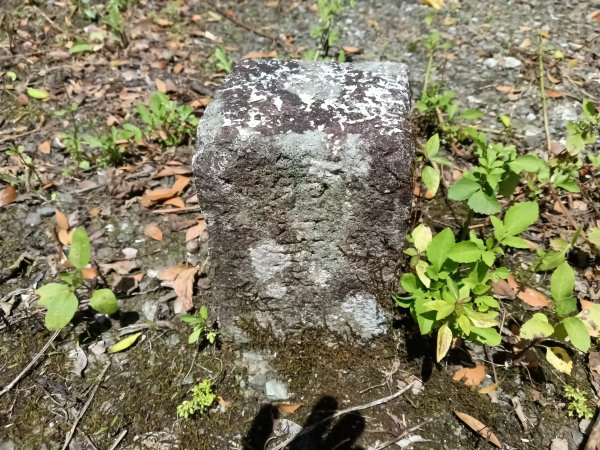 坪林區大舌湖漁光國小通學古道(保甲路古道)去回+大舌湖2844932