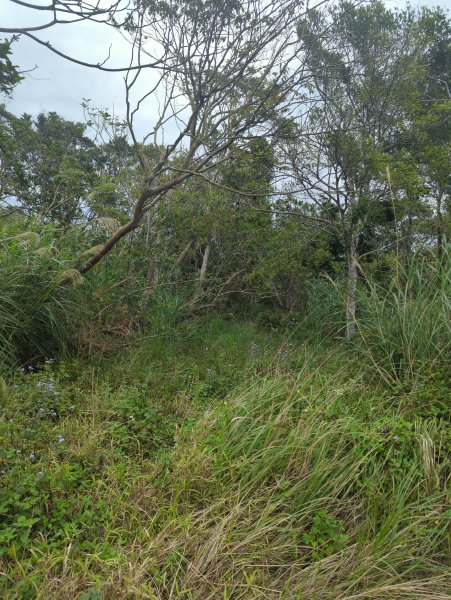 2025.02.27－月眉山2727897