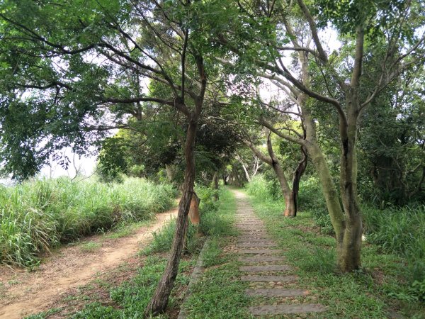 竹坑南寮登山步道1440861