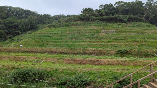 114.05.04三芝桐花步道-百年田梯步道-大鵬足湯公園2779906