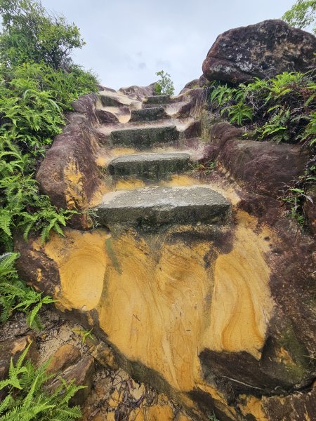 軍艦岩、丹鳳山親山步道3110724