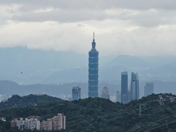 2026年臺北大縱走第七段：世界山莊至飛龍步道政大後山3032035