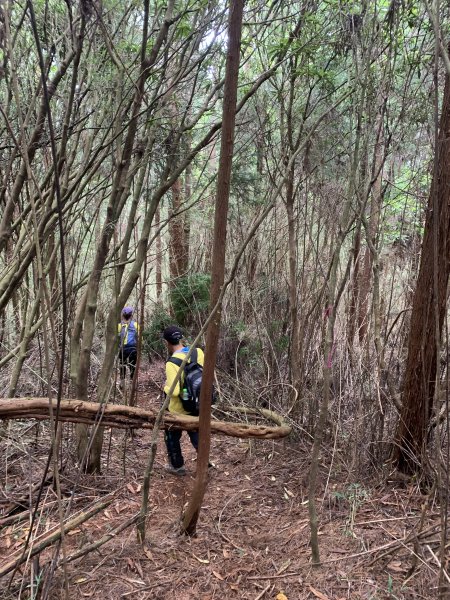 20250517義義兒玉山-東水山2791689